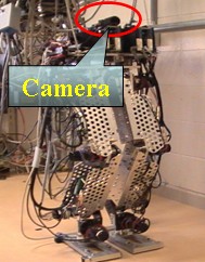 Biped Walking Robot with Vision Sensor